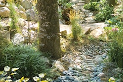 Transforming a debilitated creek bed into a hidden getaway, Estate Gardeners won PLANET's 2006 Environmental Improvement Award of Distinction for this project at the Breuning Residence in Omaha.