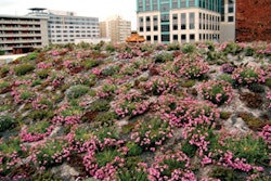 Photo courtesy of the American Society of Landscape Architects (ASLA). Visit asla.org/greenroof for more information.