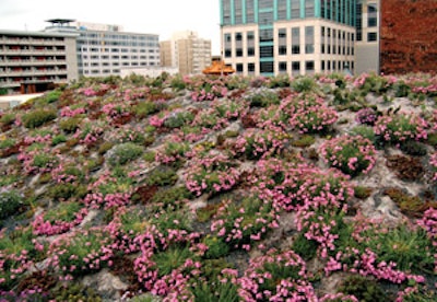 Photo courtesy of the American Society of Landscape Architects (ASLA). Visit asla.org/greenroof for more information.