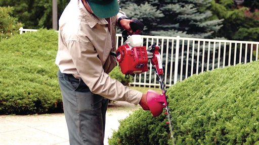 Gashedgetrimmer 10156369