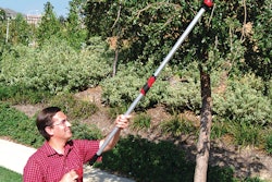 Longreachpruner 10156461