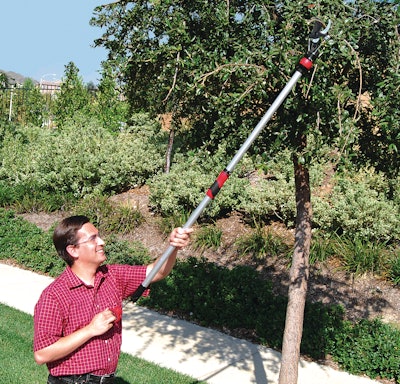 Longreachpruner 10156461