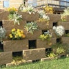 Versagreenplantablewallsystem 10156431