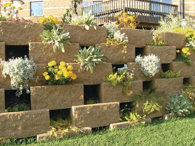 Versagreenplantablewallsystem 10156431