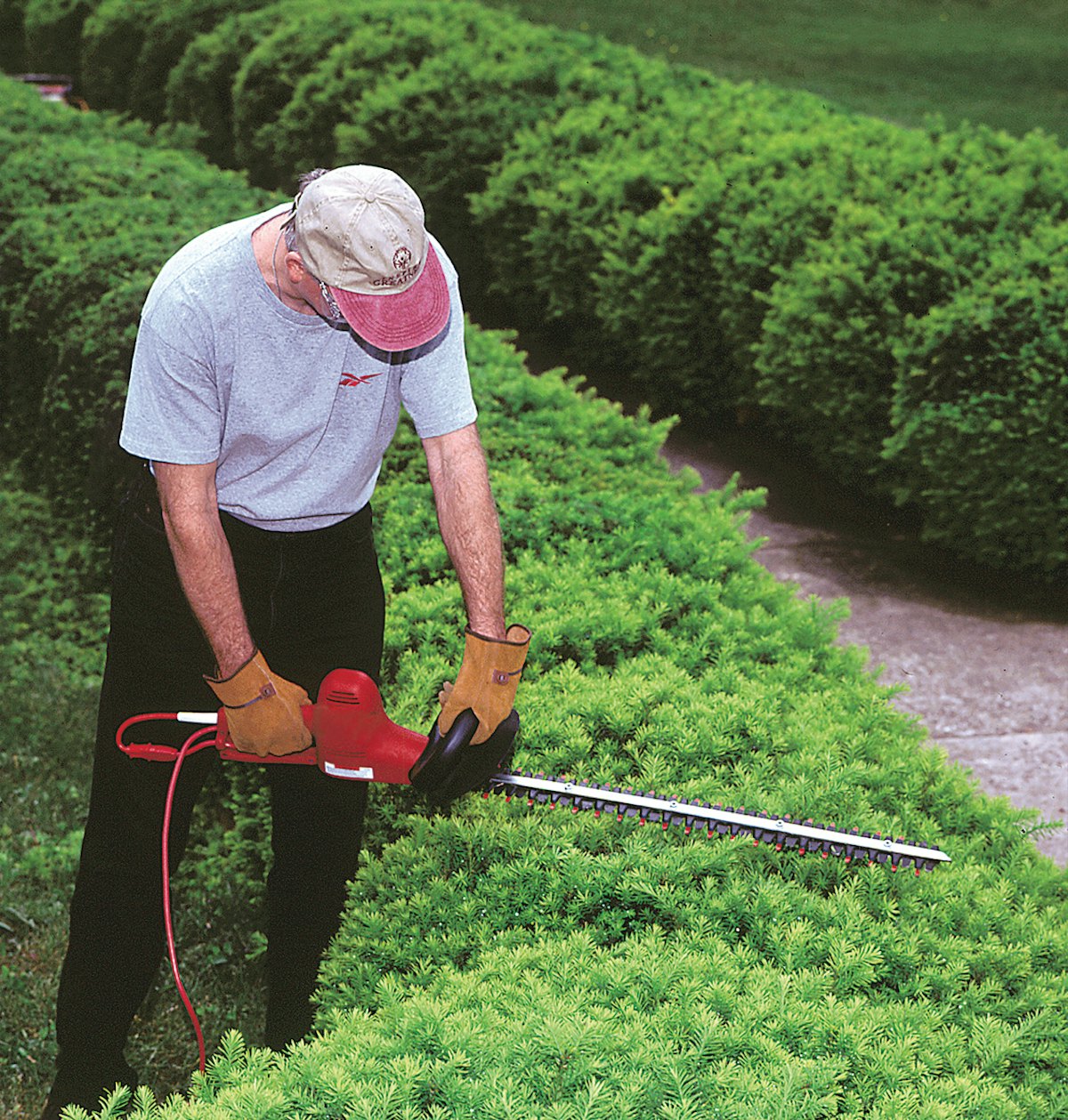 Little Wonder Electric Hedgetrimmer From Little Wonder Green