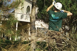 Tree care work presents many electrical hazards. Be sure to keep all tools and equipment at least 10 feet away from overhead power lines. (Photo courtesy of Barbara Mulhern and Wachtel Tree Science & Service.)