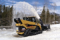 Snowblowers 10157508