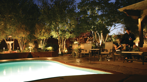 Christmas Decor And Nite Time Decor Franchises From The Decor