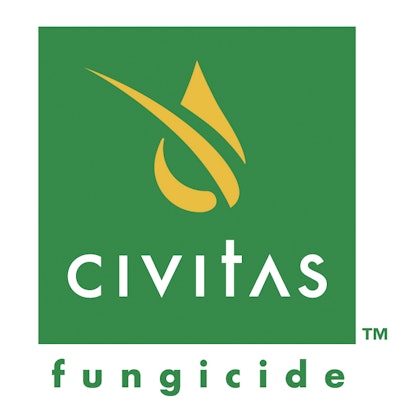 Civitaslo 10164956
