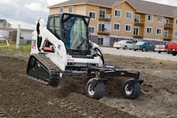 Bobcatt19 10185535