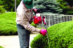 Hedgetrimmersafetytips 10233993