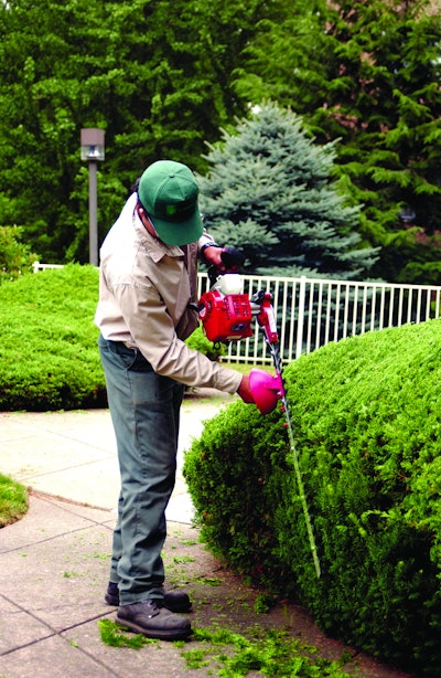 Hedgetrimmersafetytips 10233993