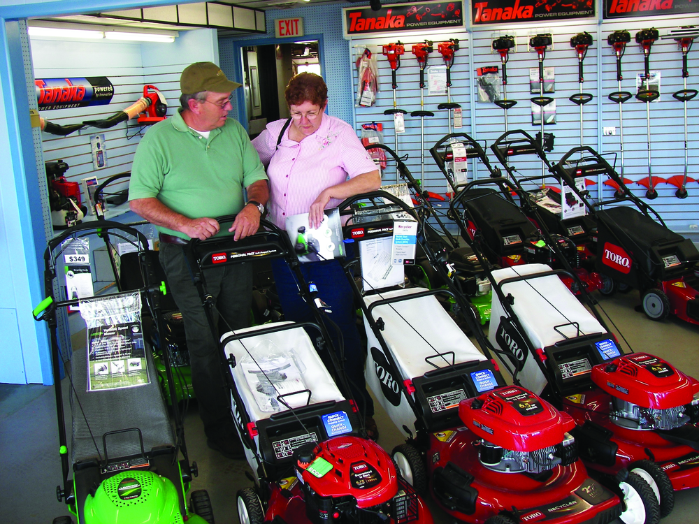 Dealerpulselead 10239370