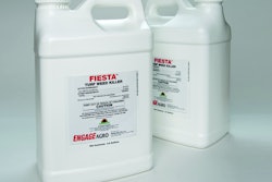 Fiestajugs 012 10279567