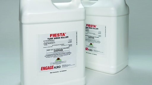 Fiestajugs 012 10279567
