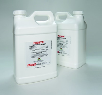Fiestajugs 012 10279567