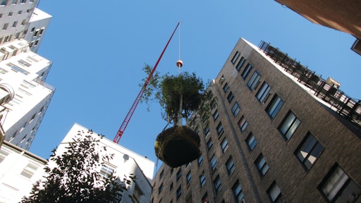Over the years Town & Gardens has worked on numerous high-profile projects, including several well-known Manhattan rooftops.