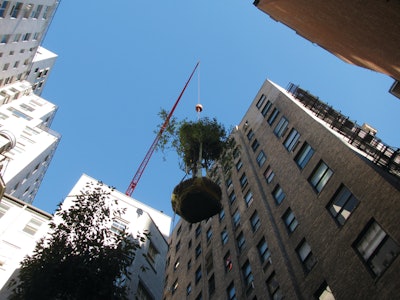 Over the years Town & Gardens has worked on numerous high-profile projects, including several well-known Manhattan rooftops.