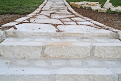 Organizationstructure 1 10338924