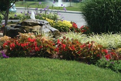 Fallwinterizing 10439045