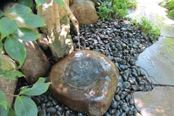 6269540904 9cdf04952d O 10449069