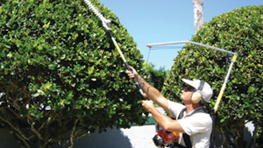 Landscapeharnesstopiary2 10456077