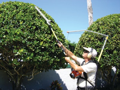 Landscapeharnesstopiary2 10456077