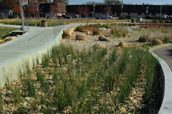 The Green at College Park: native and adapted plants in rain gardens and a water detention system help slow down the flow of stormwater.