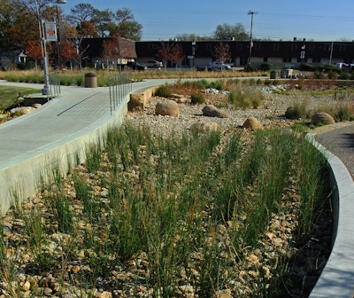 The Green at College Park: native and adapted plants in rain gardens and a water detention system help slow down the flow of stormwater.