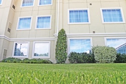 Lushgrass 10611306
