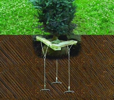 Rootballanchorl1010467 10611411