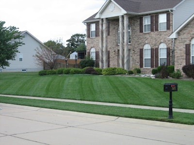 Striped Lawn
