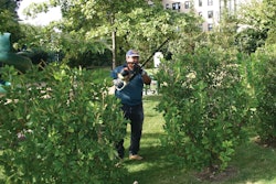 Hedgetrimming 10635342