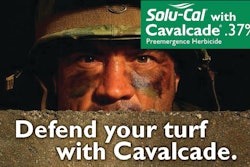Cavalcadeeyes Page 1 10656501