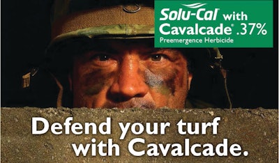 Cavalcadeeyes Page 1 10656501