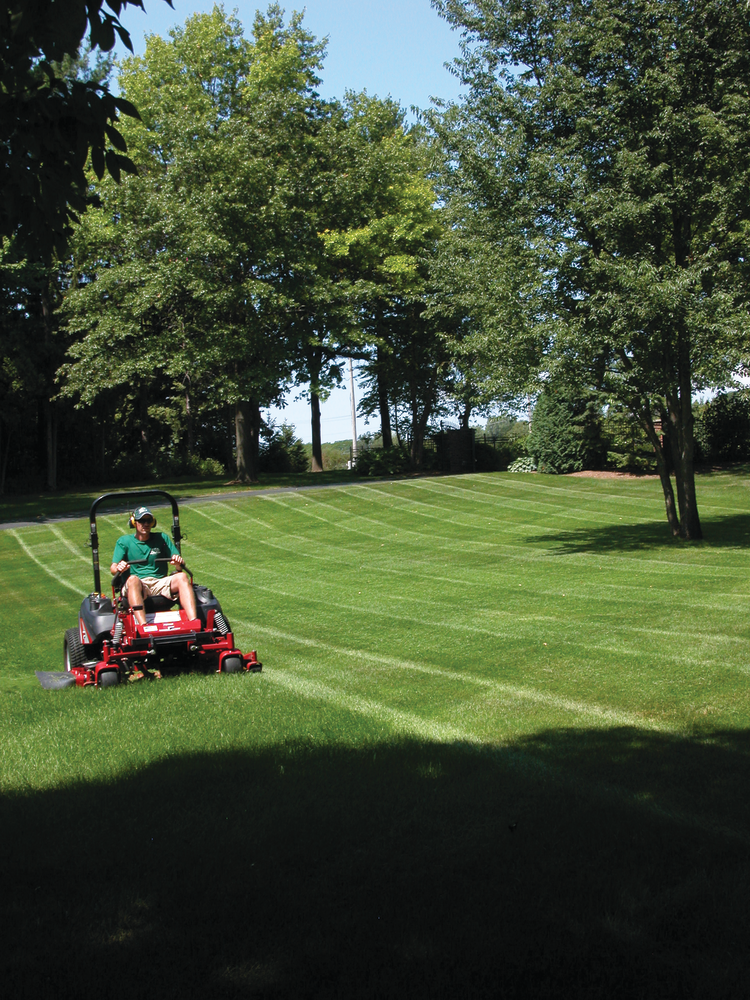 Commercialmowermarketwatch 10656038