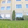 Commerciallawn 10687981