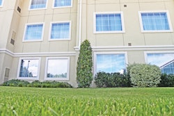 Commerciallawn 10687981