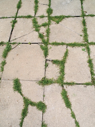 Finalsanonpavement 10690407