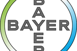 Bayer Cross Rgb 100917
