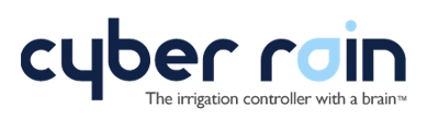 Cyber Rain Logo