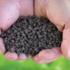 Mighty Grow Pellets Product 10723037