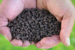 Mighty Grow Pellets Product 10723037