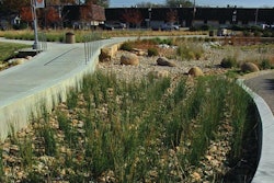 The Green at College Park (University of Texas at Arlington) features native and adapted plants in rain gardens, along with a water detention system that help slow the flow of stormwater to cleanse it for re-use on the green space’s new vegetation.
