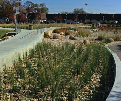 The Green at College Park (University of Texas at Arlington) features native and adapted plants in rain gardens, along with a water detention system that help slow the flow of stormwater to cleanse it for re-use on the green space’s new vegetation.