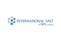 International Salt Logo 10736573