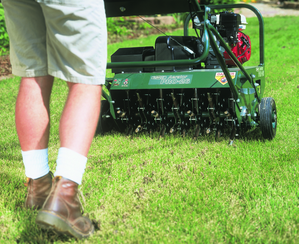 lawn renovation