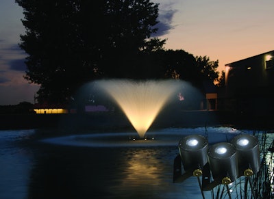Water Glow Led Lighting For Fl 10744714