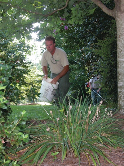Mike Stegall, company president, is typically pulling or spraying weeds, picking up trash, and looking for problem areas in the lawn.