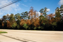 Tree Care Drought Stress 10757612